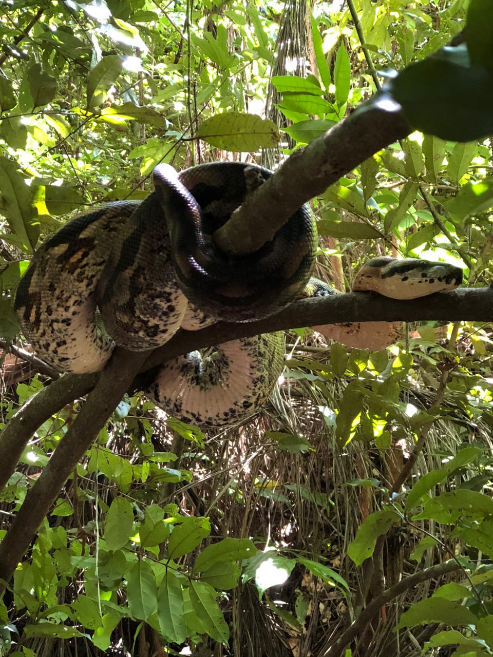 Excursion Lokobe avec Open Madagascar&nbsp;2026